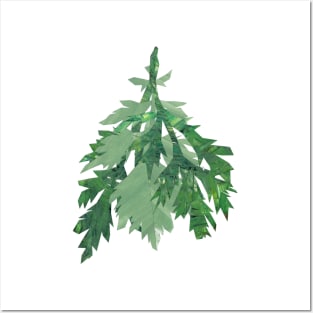 Mugwort (Bollan bane) Posters and Art